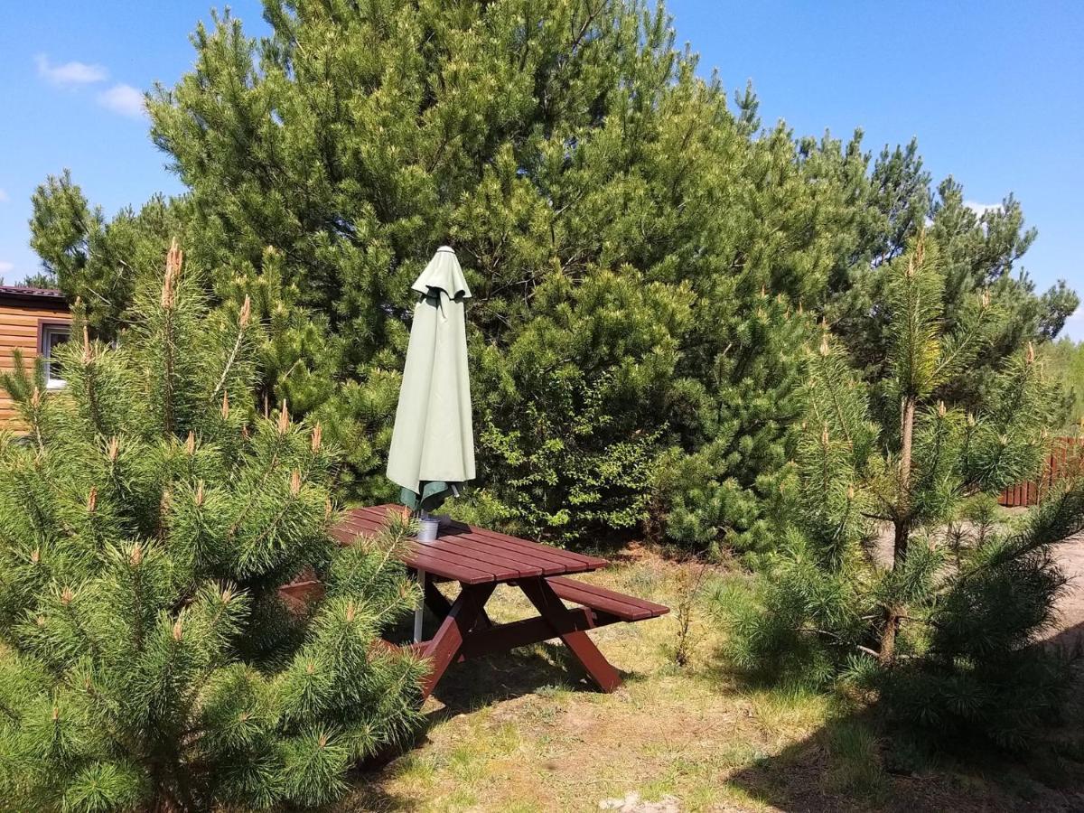 Miodowy Zakatek Caloroczne Domki I Pokoje Przy Suntago, Deepspot, Pyszne Sniadania, Grill, Ognisko Mszczonów Exterior foto