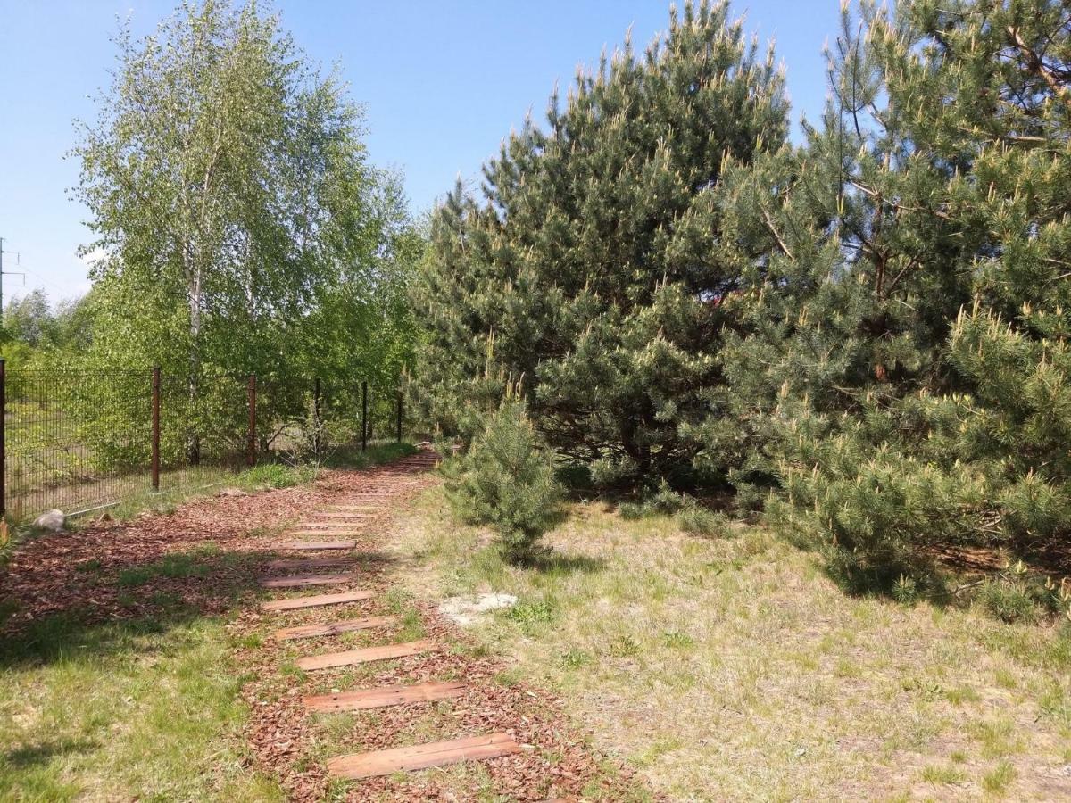Miodowy Zakatek Caloroczne Domki I Pokoje Przy Suntago, Deepspot, Pyszne Sniadania, Grill, Ognisko Mszczonów Exterior foto
